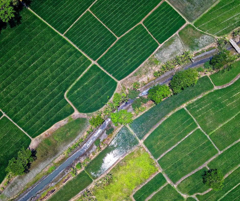 Produtores do Douro Expressam Preocupações em Carta Aberta ao Ministro da Agricultura
