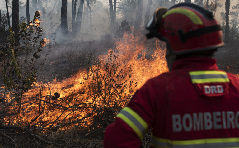 Incêndio: Vinte e Oito Concelhos em Perigo